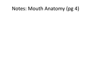 Notes: Mouth Anatomy (pg 4)
 