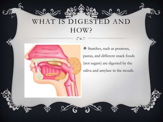 WHAT IS DIGESTED AND
HOW?
 Starches, such as potatoes,
pastas, and different snack foods
(not sugars) are digested by the
saliva and amylase in the mouth.
 