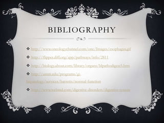 BIBLIOGRAPHY
 http://www.oncologychannel.com/onc/Images/esophagus.gif
 http://flipper.diff.org/app/pathways/info/2811
 http://biology.about.com/library/organs/blpathodigest5.htm
 http://umm.edu/programs/gi-
hepatology/services/barretts/normal-function
 http://www.webmd.com/digestive-disorders/digestive-system
 