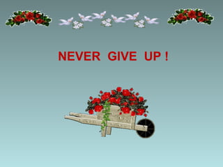 NEVER  GIVE  UP ! 