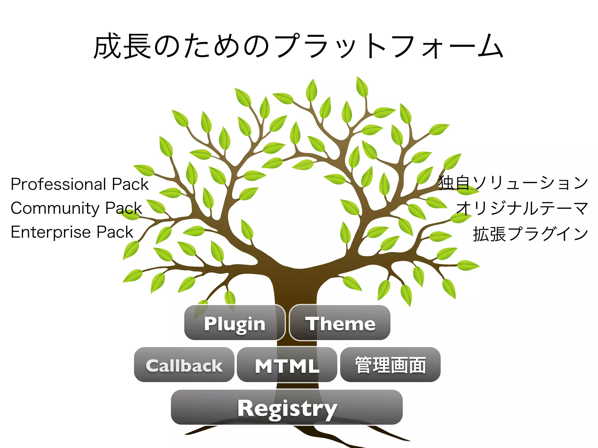 Plugin     Theme

Callback    MTML

           Registry
 