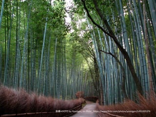 京都 KYOTO by Yoozigen, on Flickr https://www.flickr.com/photos/yoozigen/1491005376
 