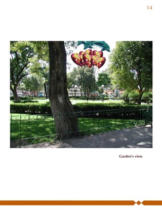 14




Garden’s view
 