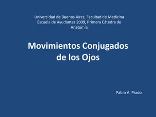 Universidad de Buenos Aires, Facultad de Medicina
  Escuela de Ayudantes 2009, Primera Cátedra de
                    Anatomía



Movimientos Conjugados
     de los Ojos


                                             Pablo A. Prado
 