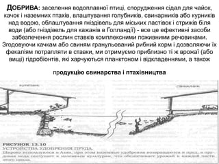 ДОБРИВА: заселення водоплавної птиці, спорудження сідал для чайок,
качок і наземних птахів, влаштування голубників, свинарників або курників
над водою, облаштування гніздівель для міських ластівок і стрижів біля
води (або гніздівель для кажанів в Голландії) - все це ефективні засоби
забезпечення рослин ставків комплексними поживними речовинами.
Згодовуючи качкам або свиням гранульований рибний корм і дозволяючи їх
фекаліям потрапляти в ставки, ми отримуємо приблизно ті ж врожаї (або
вищі) гідробіонтів, які харчуються планктоном і відкладеннями, а також
продукцію свинарства і птахівництва
 