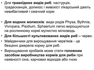• Для травоїдних видів риб: настурція,
традесканція, долихос і живокіст лікарський дають
невибагливий і смачний корм
• Для водних молюсків: види родів Physa, Bythnia,
Vivivpara, Pisidium, Sphaerium легко вирощуються
на рослинному кормі мулистих мілководь
• Для більшості культивованих видів риб – черви.
• Майданчики для вирощування черв'яків - це
безцінні джерела корму для риб.
• Вирощування хробаків може стати головним
засобом виробництва кормів для риби при
наявності сіна, харчових відходів або гною
 