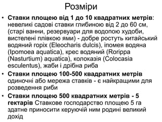 Розміри
• Ставки площею від 1 до 10 квадратних метрів:
невеликі садові ставки глибиною від 2 до 60 см,
(старі ванни, резервуари для водопою худоби,
вистелені плівкою ями) - добре ростуть китайський
водяний горіх (Eleocharis dulcis), іпомея водяна
(Ipomoea aquatica), крес водяний (Rorippa
(Nasturtium) aquatica), колоказія (Colocasia
esculentus), жаби і дрібна риба
• Ставки площею 100-500 квадратних метрів
одиночні або мережа ставків - є найкращими для
розведення риби
• Ставки площею 500 квадратних метрів - 5
гектарів Ставкове господарство площею 5 га
здатне приносити керуючій ним родині великий
дохід
 