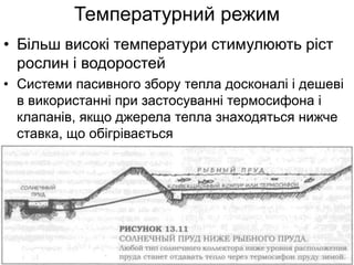 Температурний режим
• Більш високі температури стимулюють ріст
рослин і водоростей
• Системи пасивного збору тепла досконалі і дешеві
в використанні при застосуванні термосифона і
клапанів, якщо джерела тепла знаходяться нижче
ставка, що обігрівається
 