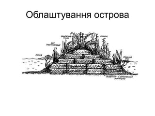 Облаштування острова
 