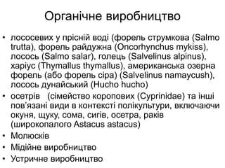 Органічне виробництво
• лососевих у прісній воді (форель струмкова (Salmo
trutta), форель райдужна (Oncorhynchus mykiss),
лосось (Salmo salar), голець (Salvelinus alpinus),
харіус (Thymallus thymallus), американська озерна
форель (або форель сіра) (Salvelinus namaycush),
лосось дунайський (Hucho hucho)
• осетрів (сімейство коропових (Cyprinidae) та інші
пов’язані види в контексті полікультури, включаючи
окуня, щуку, сома, сигів, осетра, раків
(широкопалого Astacus astacus)
• Молюсків
• Мідійне виробництво
• Устричне виробництво
 
