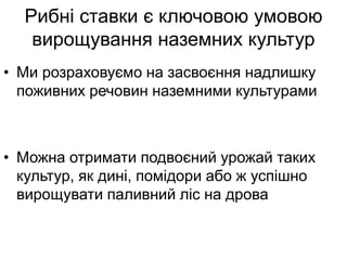 Рибні ставки є ключовою умовою
вирощування наземних культур
• Ми розраховуємо на засвоєння надлишку
поживних речовин наземними культурами
• Можна отримати подвоєний урожай таких
культур, як дині, помідори або ж успішно
вирощувати паливний ліс на дрова
 