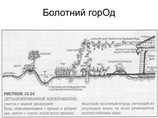 Болотний горОд
 