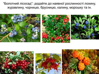 “Болотний лісосад”: додайте до наявної рослинності лохину,
журавлину, чорницю, брусницю, калину, морошку та ін.
 