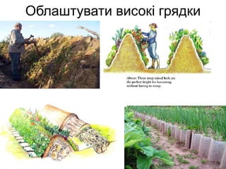 Облаштувати високі грядки
 