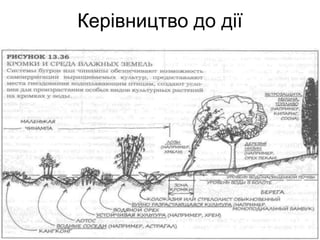 Керівництво до дії
 