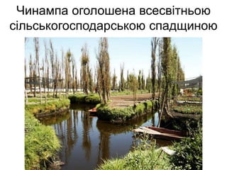 Чинампа оголошена всесвітньою
сільськогосподарською спадщиною
 