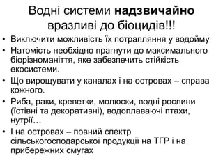 Водні системи надзвичайно
вразливі до біоцидів!!!
• Виключити можливість їх потрапляння у водойму
• Натомість необхідно прагнути до максимального
біорізноманіття, яке забезпечить стійкість
екосистеми.
• Що вирощувати у каналах і на островах – справа
кожного.
• Риба, раки, креветки, молюски, водні рослини
(їстівні та декоративні), водоплаваючі птахи,
нутрії…
• І на островах – повний спектр
сільськогосподарської продукції на ТГР і на
прибережних смугах
 