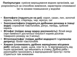 Полікультура: сумісне вирощування водних організмів, що
розрізняються за способом живлення, характером споживаної
їжі та зонами помешкання у водоймі
• Бентофаги (годуються на дні): короп, сазан, лин, золотий
карась, осетр, стерлядь, чир, муксун, сиг
• Зоопланктофаги (годуються дрібними рачками в товщі
води): строкатий товстолобик, рипус, пелядь, срібний
карась
• Фітофаг (поїдає вищу водну рослинність): білий амур
(при наявності достатньої кількості кормів досягає
товарного розміру за 3 місяці)
• Фітопланктофаг (поїдає дрібні водорості і суспензію
детриту): білий товстолобик
• Хижаки (споживають дрібних малоцінних місцевих
риб): нельма, судак, щука, сом та ін. Їх відгороджують від
інших організмів, що мешкають в ставку. Дрібна риба і
ракоподібні проникають в відгороджений простір і потім
з'їдаються там хижаками
 