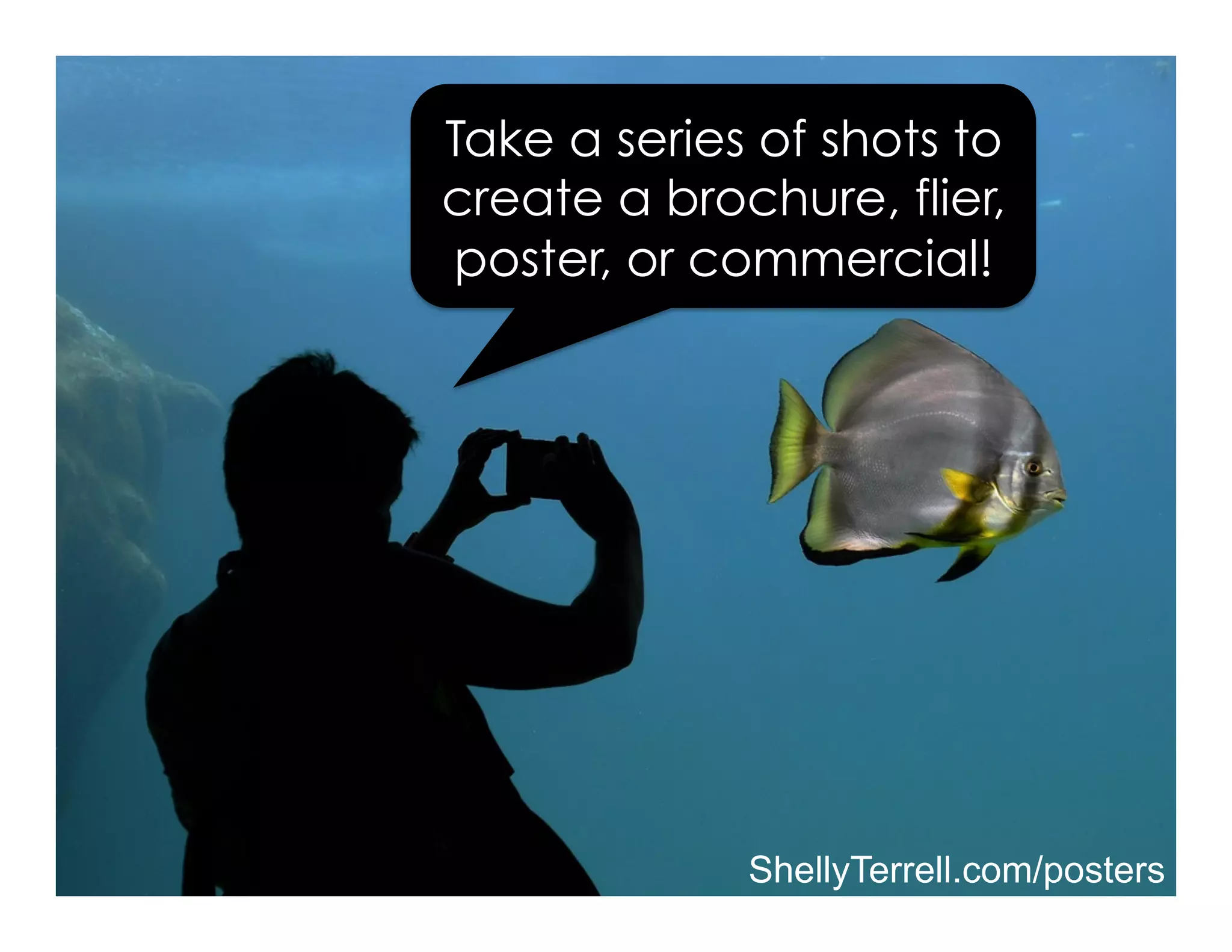 Take a series of shots to
create a brochure, flier,
poster, or commercial!
ShellyTerrell.com/posters
 