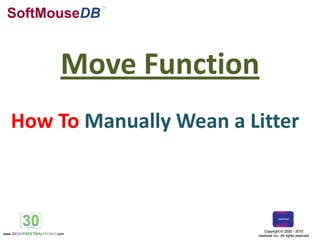 SoftMouseDB TM Move Function How To Manually Wean a Litter 