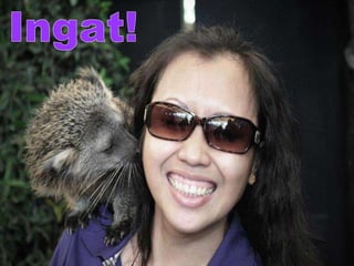 Ingat! 