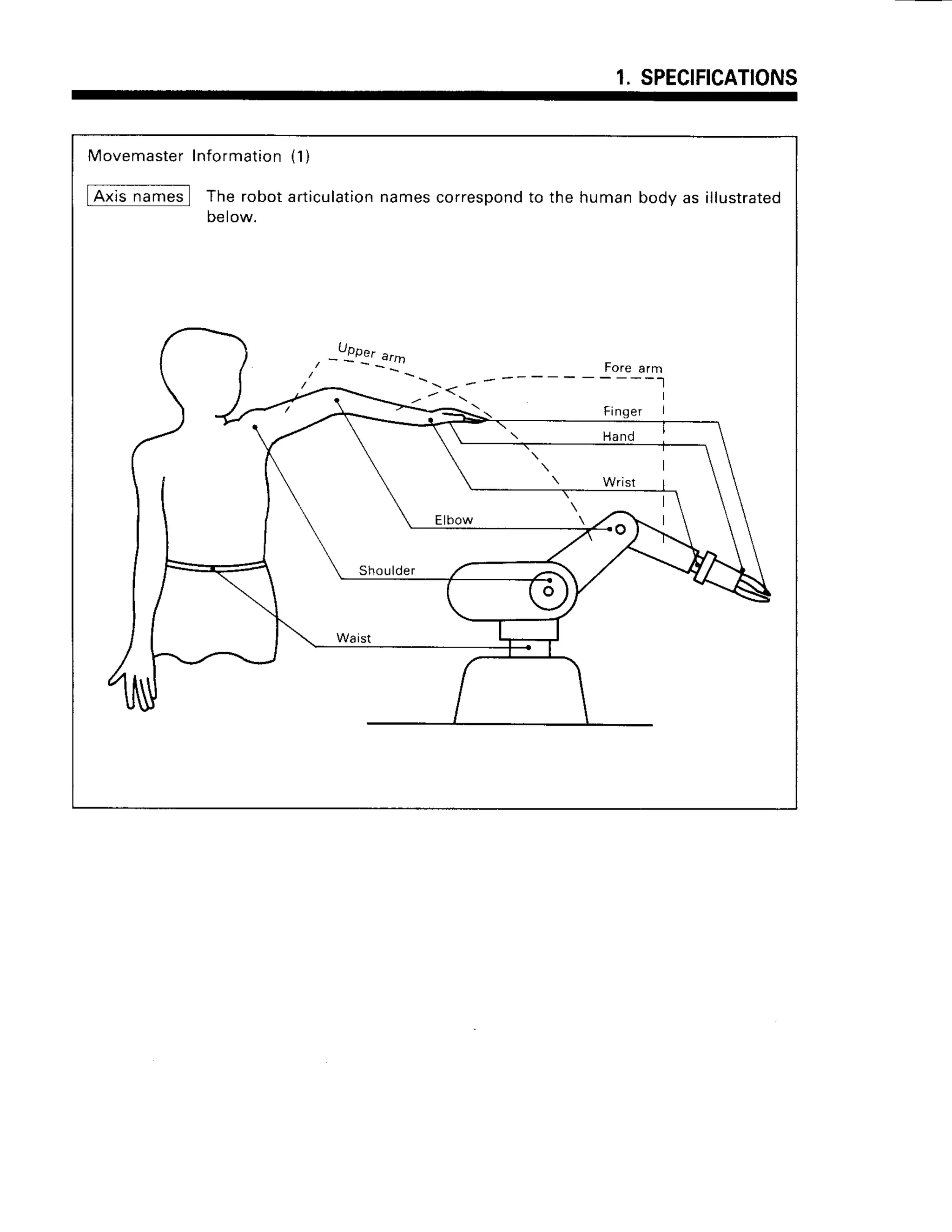 1.SPECIFICATIONS
Movemaster
Information
{1)
tilisjamesl Therobotarticulation
namescorrespond
to the humanbodyas illustrated
Detow.
/ - - - - ' , , '
--<
-
 