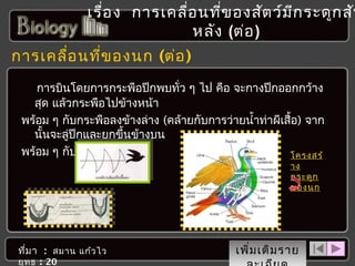 เรื่อ ง การเคลื่อ นที่ข องสัต ว์ม ก ระดูก สัน
ี
หลัง (ต่อ )

5 การเคลื่อ นที่ข องนก (ต่อ )
การบินโดยการกระพือปีกพบทั่ว ๆ ไป คือ จะกางปีกออกกว้าง
สุด แล้วกระพือไปข้างหน้า
พร้อม ๆ กับกระพือลงข้างล่าง (คล้ายกับการว่ายนำ้าท่าผีเสื้อ) จาก
นั้นจะลู่ปีกและยกขึ้นข้างบน
พร้อม ๆ กับขยับไปทางหาง
โครงสร้
าง
กระดูก
ของนก

ที่ม า : สมาน แก้ว ไว
ยุท ธ : 20

เพิ่ม เติม ราย

 