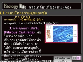 เรื่อ ง การเคลือ นที่ข องคน (ต่อ )
่

4.1 ระบบโครงกระดูก และข้อ
ต่อ (ต่อ )

กระดูก อ่อ น (Cartilage) (ต่อ )
กระดูก อ่อ นจำา แนกชนิด ได้เ ป็น 3 ชนิด (ต่อ )

3. กระดูก อ่อ นเส้น ใย
(Fibrous Cartilage) พบ
ในร่า งกายน้อ ยมาก
เป็น กระดูก อ่อ นทีม ส ารพืน
่ ี
้
น้อ ยแต่ม เ ส้น ใยมาก พบ
ี
ได้ท ห มอนรองกระดูก สัน
ี่
หลัง ปลายเอ็น ตรงส่ว นที่
ยึด กับ กระดูก และตรงรอย
เพิ่ม เติม ราย
ต่อ ทีก ระดูก กับที่มว หน่า ว
่
หั า :
lassroom.psu.ac.th/users/vuraporn/321_211/skeletal_

 