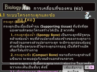 เรื่อ ง การเคลือ นที่ข องคน (ต่อ )
่

4.1 ระบบโครงกระดูก และข้อ
ต่อ (ต่อ )
กระดูก (Bone)
กระดูก เป็น เนื้อ เยื่อ คำ้า จุน (Supporting tissue) ที่แ ข็ง ที่ส ุด
แบ่ง ตามลัก ษณะโครงสร้า งได้เ ป็น 2 พวกคือ
1. กระดูก ฟองนำ้า (Spongy Bone) เป็น กระดูก ที่ม ีร ูพ รุน
คล้า ยฟองนำ้า พบที่ส ่ว นปลายทั้ง สองข้า งของกระดูก ยาว
ส่ว นผิว นอกตรงส่ว นปลายกระดูก จะมีก ระดูก อ่อ นหุ้ม อยู่
ส่ว นที่เ ป็น รูพ รุน จะมีไ ขกระดูก บรรจุอ ยู่ เป็น ที่ส ร้า งเม็ด
เลือ กให้แ ก่ร ่า งกาย
2. กระดูก แข็ง (Compact Bone) หมายถึง กระดูก ส่ว นที่
แข็ง แรง จะพบอยู่บ ริเ วณผิว นอกส่ว นกลางๆ
ของกระดูก ยาว มีเ นื้อ กระดูก มากกว่า ช่อ งว่า ง ในภาคตัด
ขวางจะเห็น เป็น ชั้น ๆ ดัง นี้
เพิ่ม เติม ราย

 
