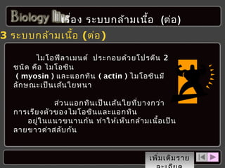 เรื่อ ง ระบบกล้า มเนือ (ต่อ )
้

3 ระบบกล้า มเนือ (ต่อ )
้
ไมโอฟิล าเมนต์ ประกอบด้ว ยโปรตีน 2
ชนิด คือ ไมโอซิน
( myosin ) และแอกทิน ( actin ) ไมโอซิน มี
ลัก ษณะเป็น เส้น ใยหนา
ส่ว นแอกทิน เป็น เส้น ใยที่บ างกว่า
การเรีย งตัว ของไมโอซิน และแอกทิน
อยู่ใ นแนวขนานกัน ทำา ให้เ ห็น กล้า มเนื้อ เป็น
ลายขาวดำา สลับ กัน
เพิ่ม เติม ราย

 