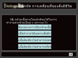 แบบฝึก หัด กำรเคลื่อ นที่ข องสิง มีช ว ิต
่
ี

10. กล้ำ มเนื้อ ลำยโดยปกติพ บได้ใ นกำร
ทำำ งำนตรงข้ำ มเป็น คู่ ๆ เพรำะอะไร
1. ทำำ ให้ม ีแ รงมำกกว่ำ เป็น กล้ำ มเนื้อ มัด เดีย ว
2. กล้ำ มเนื้อ ทำำ งำนได้เ ฉพำะเมื่อ มีก ำรหดตัว
3. กล้ำ มเนื้อ มัด เดีย วไม่ส ำมำรถหดข้อ ต่อ ได้
4. กล้ำ มเนื้อ มัด เดีย วไม่ส ำมำรถยึด ข้อ ต่อ ได้

 