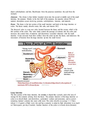 digest carbohydrates and fats. Bicarbonate from the pancreas neutralizes the acid from the
stomach.
Jejunum – The chyme is then further transited down into the second or middle part of the small
intestine, the jejunum. Mainly in the first half of the jejunum, the majority (about 90%) of
nutrient absorption occurs involving proteins, carbohydrates, vitamins, and minerals.
Ileum – The ileum is the last section of the small intestine and leads to the large intestine or
colon. The ileum mainly absorbs water, bile salts, and vitamin B12.
The ileocecal valve is a one way valve located between the ileum and the cecum, which is the
first portion of the colon. This valve helps control the passage of contents into the colon and
increases the contact time of nutrients and electrolytes (essential minerals) with the small
intestine. It also prevents back-flow (reflux) from the colon up into the ileum, and minimizes the
movement of bacteria from the large intestine up into the small bowel.
Large Intestine
The first portion of the large intestine, the cecum, is shaped like a pouch, and is the area of
storage for the contents arriving from the ileum. The primary function of the large intestine or
colon is to absorb fluids and electrolytes, particularly sodium and potassium, and to convert
remaining luminal contents into more solid stool. The colon absorbs on average 1-1.5 liters
(about 1-1.5 quarts) of fluid every day and has a capacity to adapt its fluid absorption to as much
as 5 liters/quarts per day if needed. Another function of the colon is to break down (ferment)
 