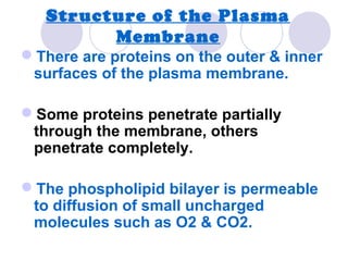 Structure of the Plasma
Membrane
There are proteins on the outer & inner
surfaces of the plasma membrane.
Some proteins penetrate partially
through the membrane, others
penetrate completely.
The phospholipid bilayer is permeable
to diffusion of small uncharged
molecules such as O2 & CO2.
 