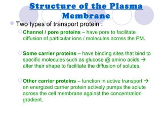 Structure of the Plasma
Membrane
Two types of transport protein :
Channel / pore proteins – have pore to facilitate
diffusion of particular ions / molecules across the PM.
Some carrier proteins – have binding sites that bind to
specific molecules such as glucose @ amino acids 
alter their shape to facilitate the diffusion of solutes.
Other carrier proteins – function in active transport 
an energized carrier protein actively pumps the solute
across the cell membrane against the concentration
gradient.
 