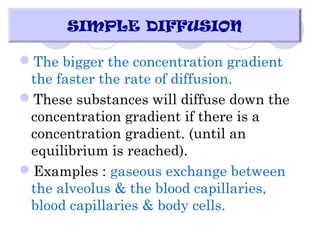 The bigger the concentration gradient
the faster the rate of diffusion.
These substances will diffuse down the
concentration gradient if there is a
concentration gradient. (until an
equilibrium is reached).
Examples : gaseous exchange between
the alveolus & the blood capillaries,
blood capillaries & body cells.
SIMPLE DIFFUSION
 