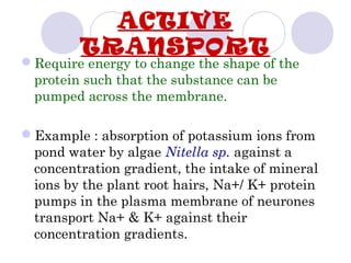 ACTIVE
TRANSPORT
Require energy to change the shape of the
protein such that the substance can be
pumped across the membrane.
Example : absorption of potassium ions from
pond water by algae Nitella sp. against a
concentration gradient, the intake of mineral
ions by the plant root hairs, Na+/ K+ protein
pumps in the plasma membrane of neurones
transport Na+ & K+ against their
concentration gradients.
 