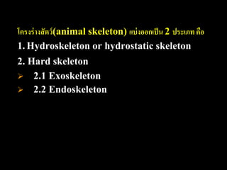 โครงร่ างสั ตว์ (animal skeleton) แบ่ งออกเป็ น 2 ประเภท คือ
1. Hydroskeleton or hydrostatic skeleton
2. Hard skeleton
 2.1 Exoskeleton
 2.2 Endoskeleton
 