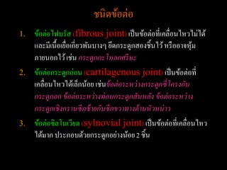 ชนิดข้อต่อ
1.   ข้อต่อไฟบรัส (fibrous joint) เป็ นข้อต่อที่เคลื่อนไหวไม่ได้
     และมีเนื้อเยือเกี่ยวพันบางๆ ยึดกระดูกสองชิ้นไว้ หรื ออาจหุม
                  ่                                              ้
     ภายนอกไว้ เช่น กระดูกกะโหลกศรี ษะ
2.   ข้อต่อกระดูกอ่อน (cartilagenous joint) เป็ นข้อต่อที่
     เคลื่อนไหวได้เล็กน้อย เช่นข้ อต่ อระหว่ างกระดูกซี่ โครงกับ
     กระดูกอก ข้ อต่ อระหว่ างท่ อนกระดูกสันหลัง ข้ อต่ อระหว่ าง
     กระดูกเชิ งกรานซี กซ้ ายกับซี กขวาทางด้ านหั วหน่ าว
3.   ข้อต่อซิลโนเวียล (sylnovial joint) เป็ นข้อต่อที่เคลื่อนไหว
     ได้มาก ประกอบด้วยกระดูกอย่างน้อย 2 ชิ้น
 