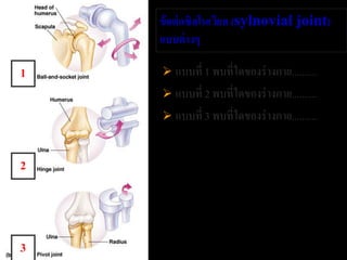 ข้ อต่ อซิลโนเวียล (sylnovial joint)
    แบบต่ างๆ

1    แบบที่ 1 พบที่ใดของร่ างกาย..........
     แบบที่ 2 พบที่ใดของร่ างกาย..........
     แบบที่ 3 พบที่ใดของร่ างกาย..........



2



3
 