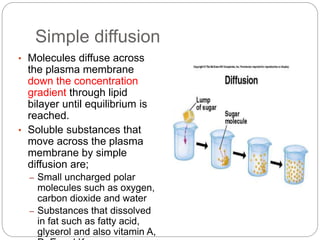 Simple diffusion
• Molecules diffuse across
the plasma membrane
down the concentration
gradient through lipid
bilayer until equilibrium is
reached.
• Soluble substances that
move across the plasma
membrane by simple
diffusion are;
– Small uncharged polar
molecules such as oxygen,
carbon dioxide and water
– Substances that dissolved
in fat such as fatty acid,
glyserol and also vitamin A,
 