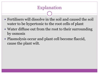 Explanation
 Fertilisers will dissolve in the soil and caused the soil
water to be hypertonic to the root cells of plant
 Water diffuse out from the root to their surrounding
by osmosis
 Plasmolysis occur and plant cell become flaccid,
cause the plant wilt.
 