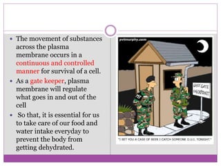  The movement of substances
across the plasma
membrane occurs in a
continuous and controlled
manner for survival of a cell.
 As a gate keeper, plasma
membrane will regulate
what goes in and out of the
cell
 So that, it is essential for us
to take care of our food and
water intake everyday to
prevent the body from
getting dehydrated.
 