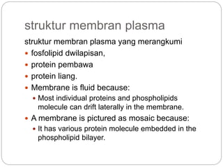 struktur membran plasma
struktur membran plasma yang merangkumi
 fosfolipid dwilapisan,
 protein pembawa
 protein liang.
 Membrane is fluid because:
 Most individual proteins and phospholipids
molecule can drift laterally in the membrane.
 A membrane is pictured as mosaic because:
 It has various protein molecule embedded in the
phospholipid bilayer.
 