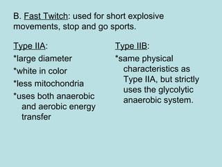 B. Fast Twitch: used for short explosive
movements, stop and go sports.
Type IIA:
*large diameter
*white in color
*less mitochondria
*uses both anaerobic
and aerobic energy
transfer
Type IIB:
*same physical
characteristics as
Type IIA, but strictly
uses the glycolytic
anaerobic system.
 