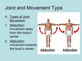 Joint and Movement Type
A. Types of Joint
Movement:
1. Abduction:
movement away
from the body’s
center.
2. Adduction:
movement towards
the body’s center.
 