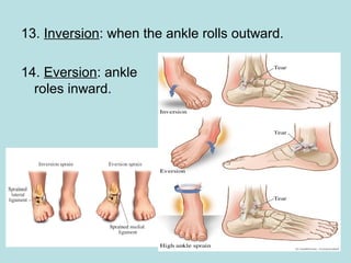 13. Inversion: when the ankle rolls outward.
14. Eversion: ankle
roles inward.
 