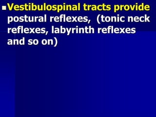Vestibulospinal tracts provide
postural reflexes, (tonic neck
reflexes, labyrinth reflexes
and so on)
 