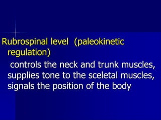 Rubrospinal level (paleokinetic
regulation)
controls the neck and trunk muscles,
supplies tone to the sceletal muscles,
si...