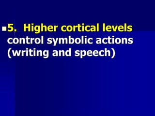 5. Higher cortical levels
control symbolic actions
(writing and speech)
 