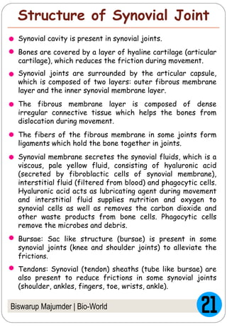 Biswarup Majumder | Bio-World
Structure of Synovial Joint
Synovial cavity is present in synovial joints.
Bones are covered by a layer of hyaline cartilage (articular
cartilage), which reduces the friction during movement.
Synovial joints are surrounded by the articular capsule,
which is composed of two layers: outer fibrous membrane
layer and the inner synovial membrane layer.
The fibrous membrane layer is composed of dense
irregular connective tissue which helps the bones from
dislocation during movement.
The fibers of the fibrous membrane in some joints form
ligaments which hold the bone together in joints.
Synovial membrane secretes the synovial fluids, which is a
viscous, pale yellow fluid, consisting of hyaluronic acid
(secreted by fibroblactic cells of synovial membrane),
interstitial fluid (filtered from blood) and phagocytic cells.
Hyaluronic acid acts as lubricating agent during movement
and interstitial fluid supplies nutrition and oxygen to
synovial cells as well as removes the carbon dioxide and
other waste products from bone cells. Phagocytic cells
remove the microbes and debris.
Bursae: Sac like structure (bursae) is present in some
synovial joints (knee and shoulder joints) to alleviate the
frictions.
Tendons: Synovial (tendon) sheaths (tube like bursae) are
also present to reduce frictions in some synovial joints
(shoulder, ankles, fingers, toe, wrists, ankle).
 
